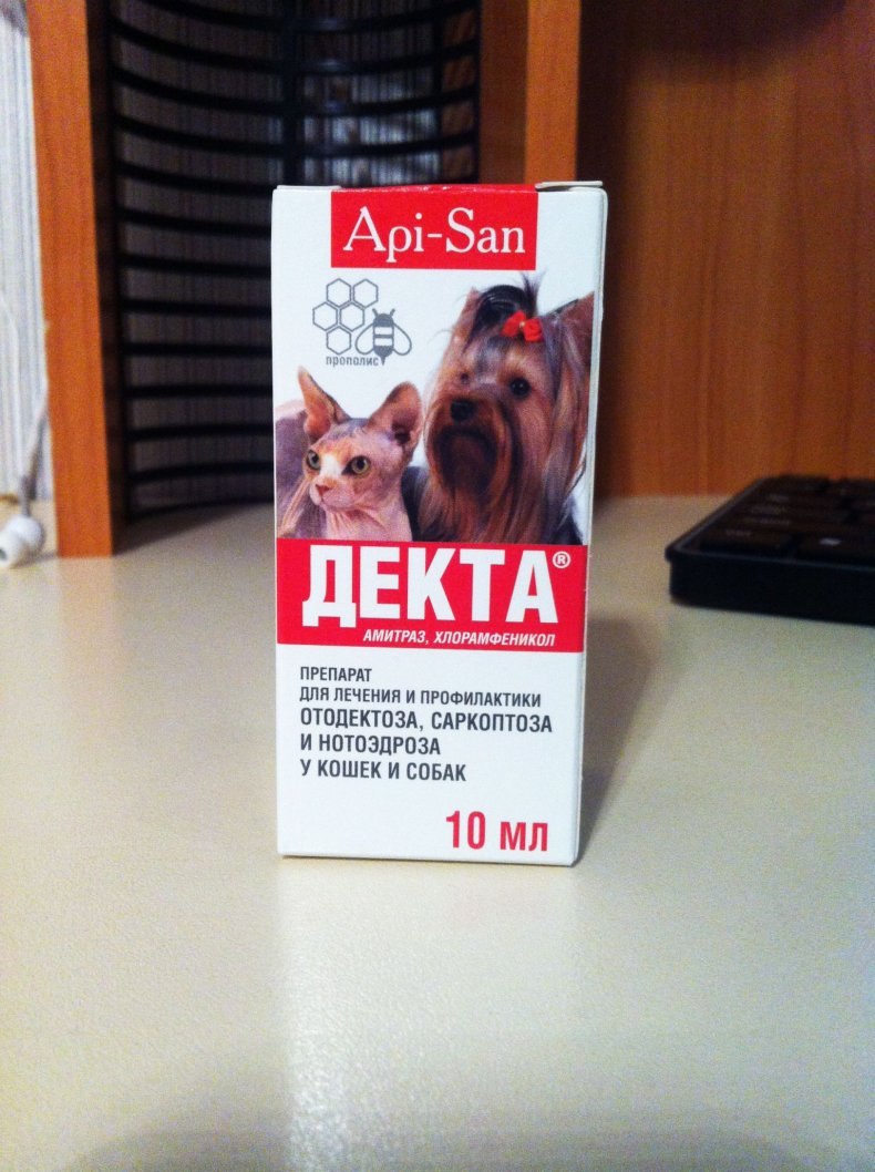 Закапывание капель в ухо собаке