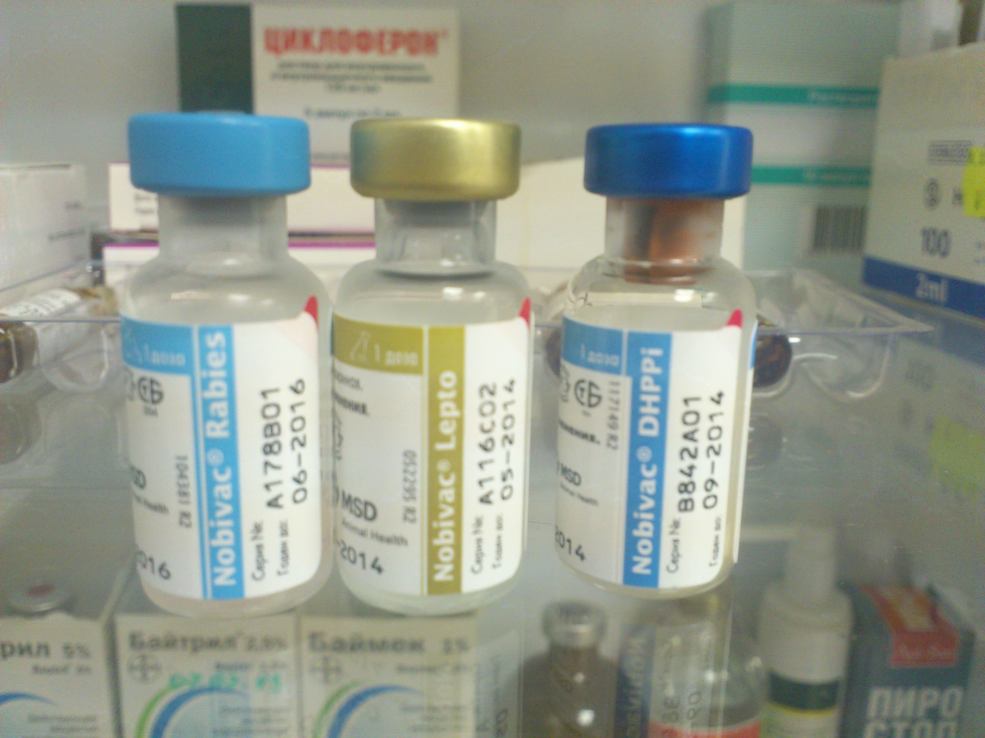 Вакцина для собак каниген. Нобивак DHPPI Lepto. Комплексная вакцина для собак Нобивак. Нобивак комплексная прививка для собак. Нобивак DHPPI l4 Rabies.