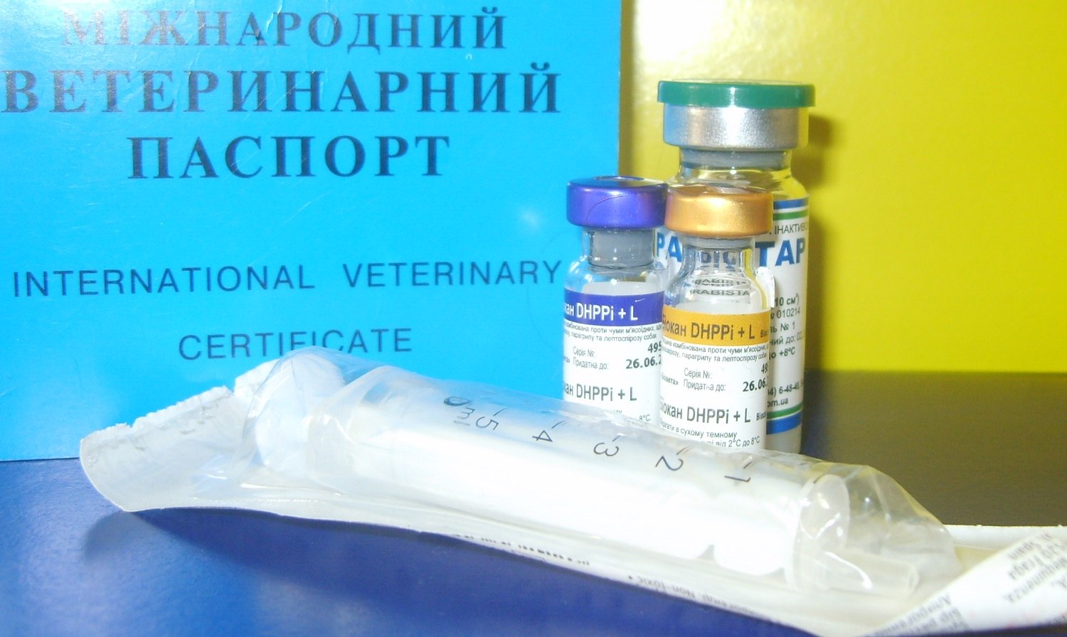 Вакцина для собак каниген. Прививки для собак. Комплексные прививки для собак. Биовак вакцина для собак. Лептоспироз прививка собакам.