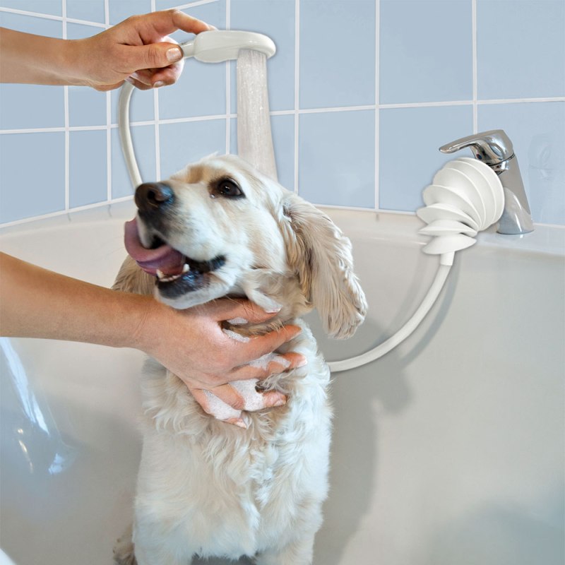 Pet Wash (мойка питомцев)
