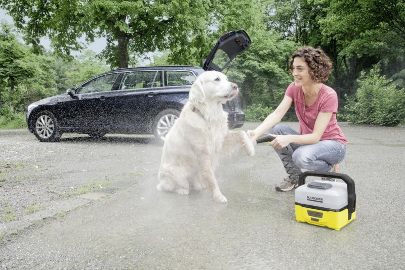 Мойка высокого давления Karcher OC 3 Pet