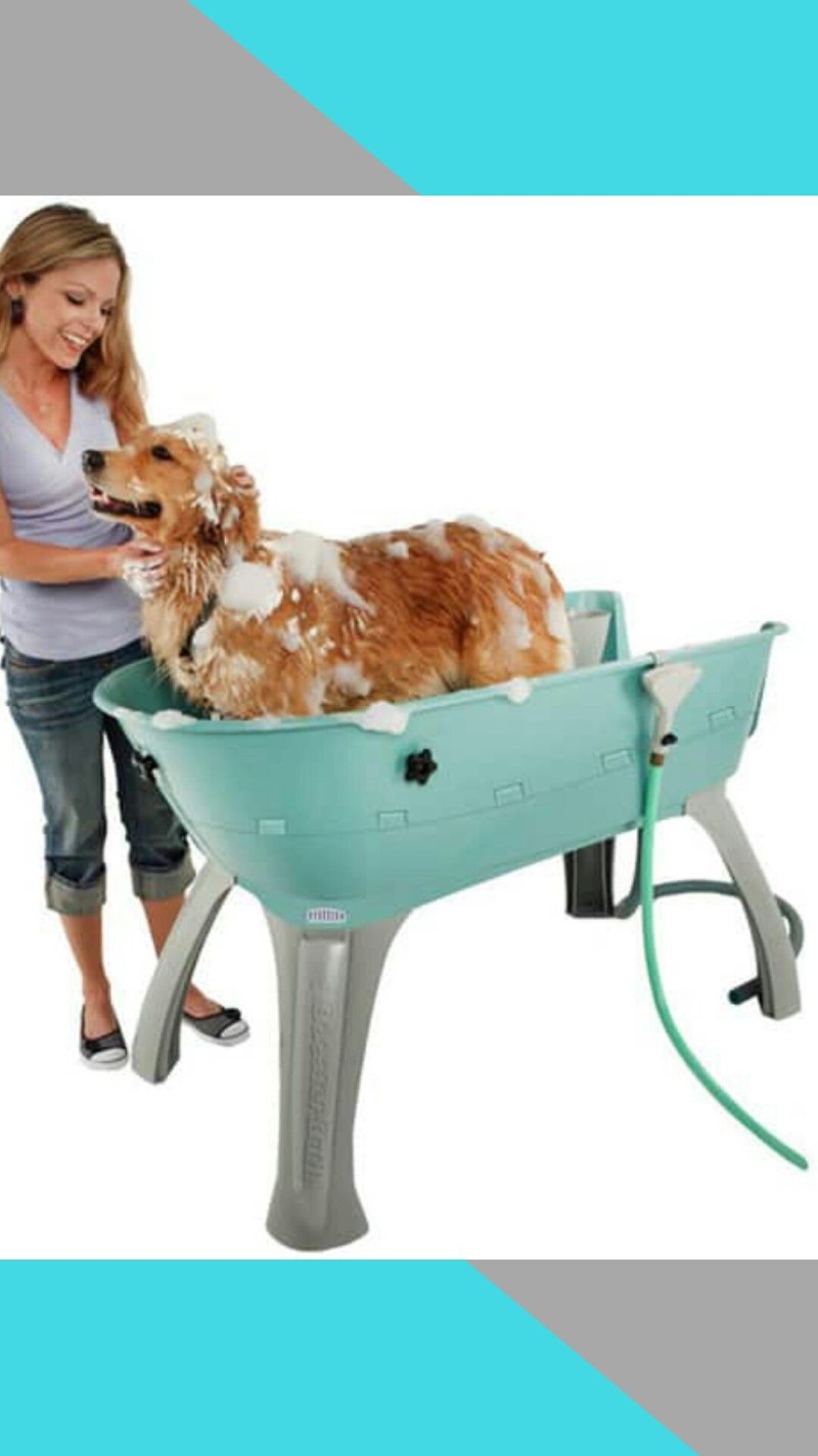 Pet Wash (мойка питомцев)