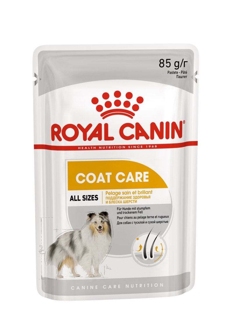 Royal Canin Mini Coat Care