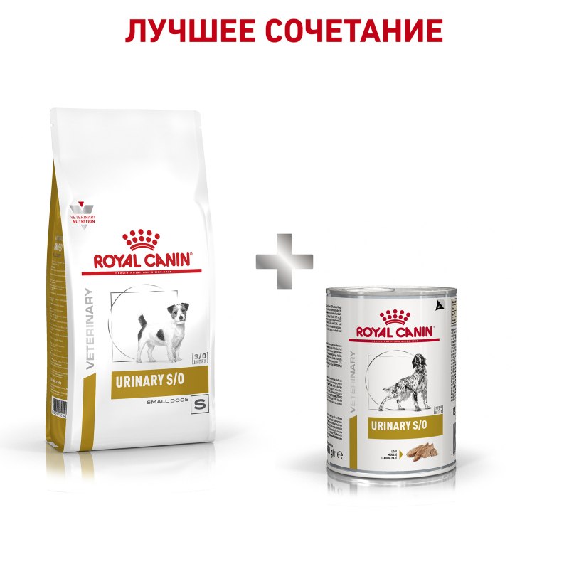 Royal Canin Urinary для мелких собак