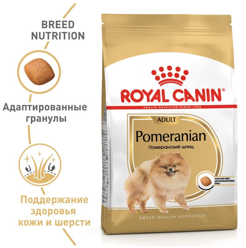 Собака ест сухой корм