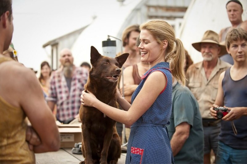 Рыжий пес фильм 2011 rachael Taylor
