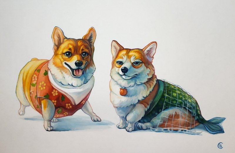 Скетчинг корги