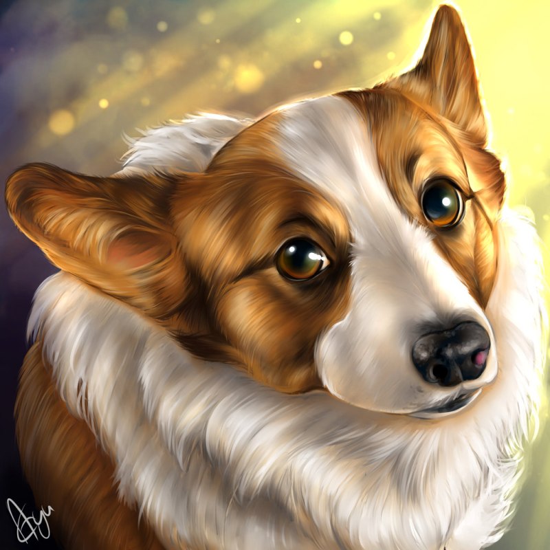 Корги рисуночек миленький