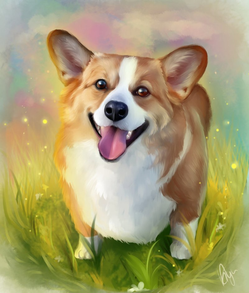 Jibbitz корги