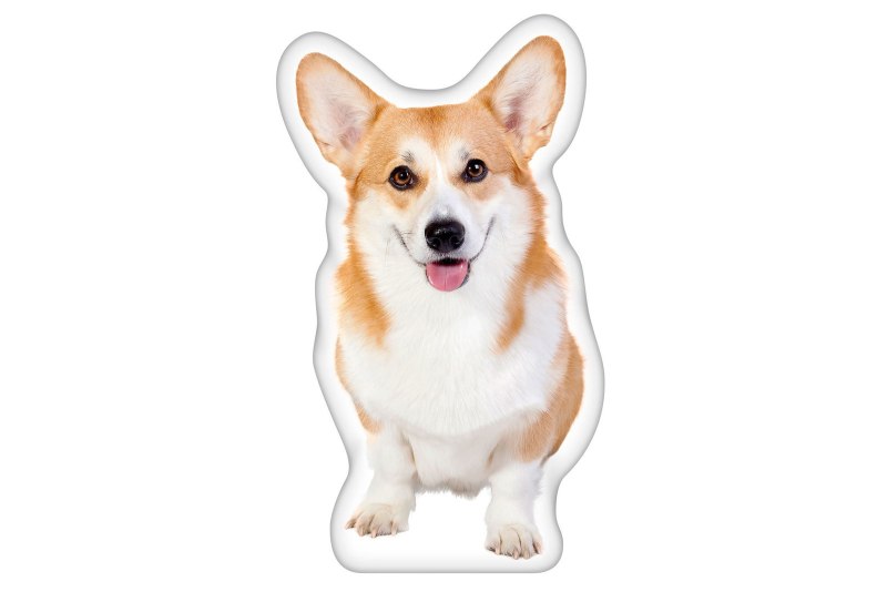 Вельш корги вектор