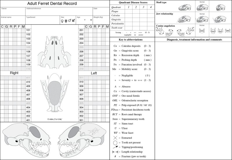 Canine Dental Assessment Chart
