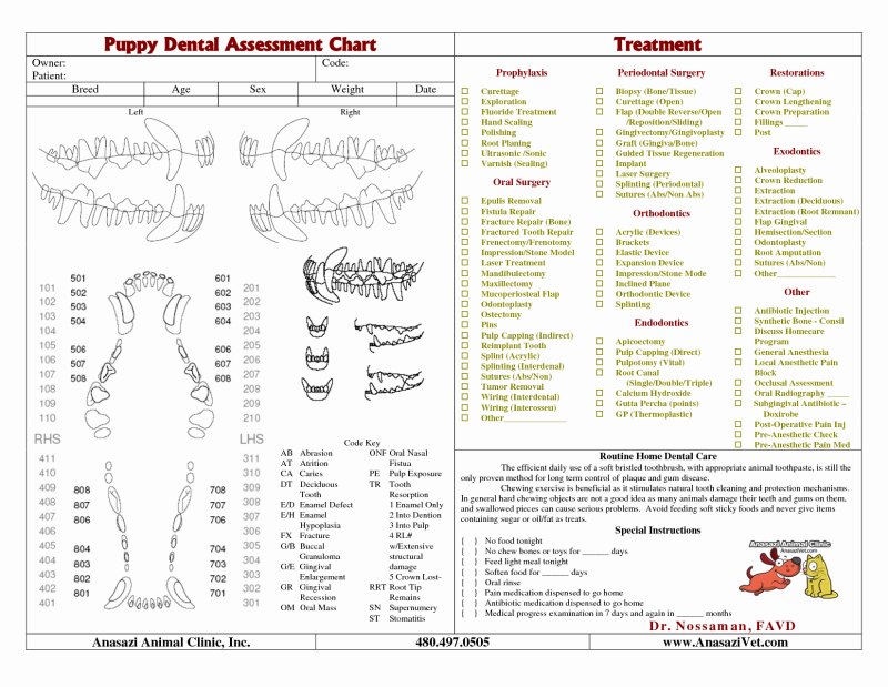 Canine Dental Assessment Chart