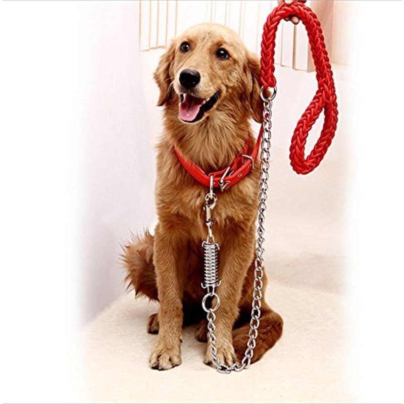 Big Dog ошейник