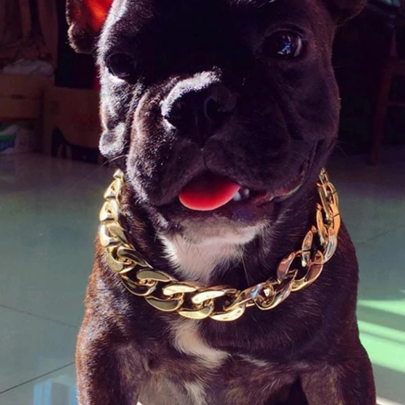Cuban link собачий ошейник