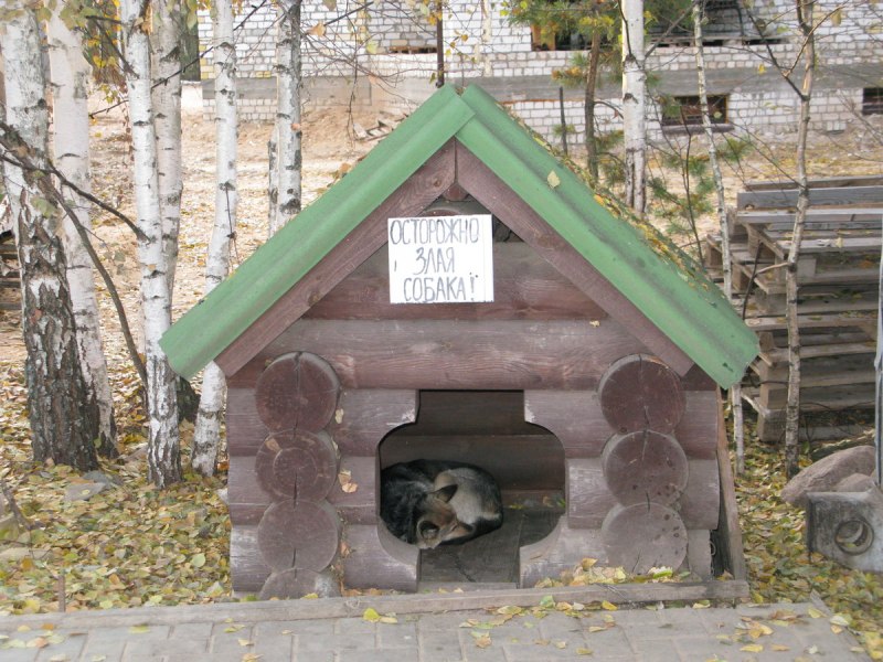 Будка в лесу