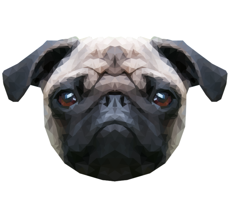 Мопсы BOGACHO