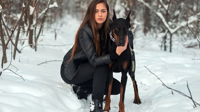 Зимний пейзаж с доберманом
