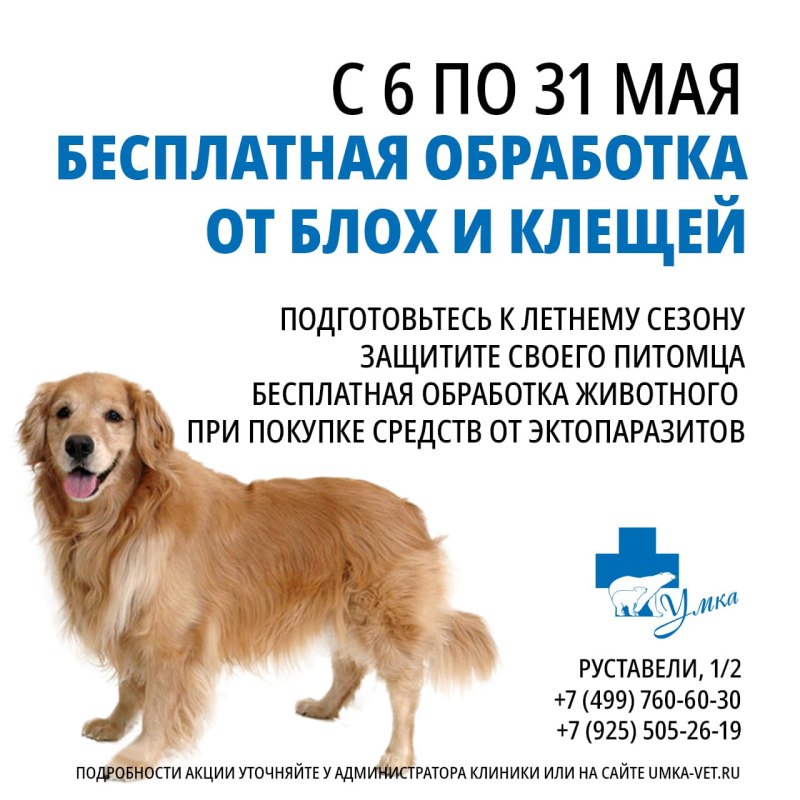 Обработка животных от эктопаразитов