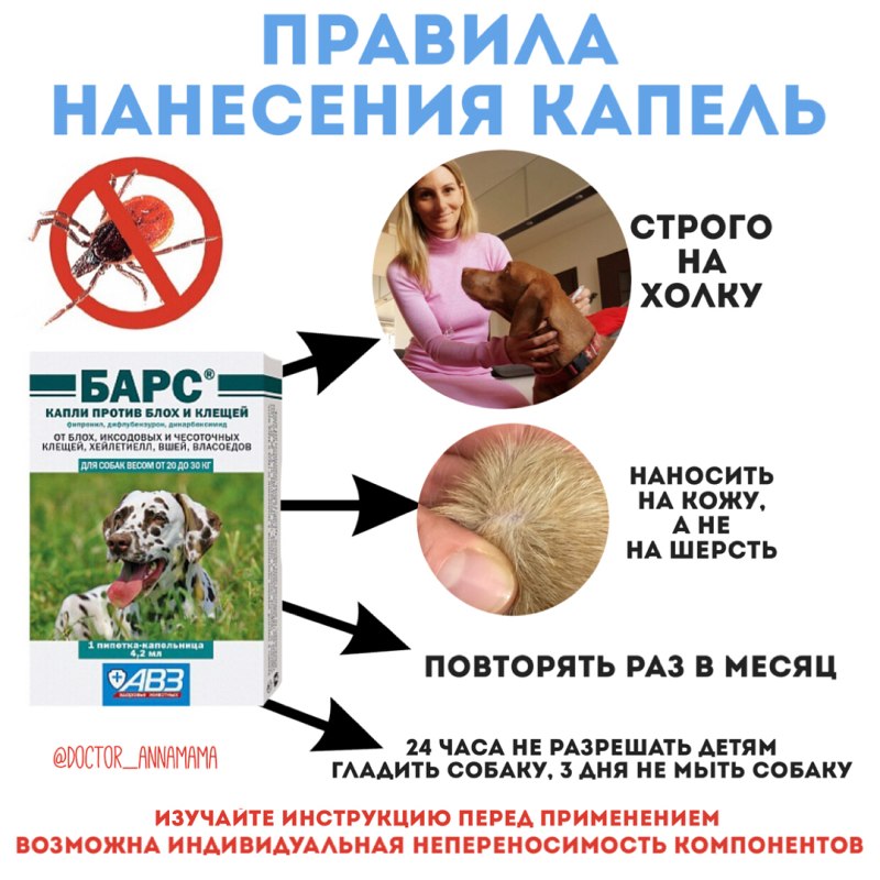 Обработка собак от блох