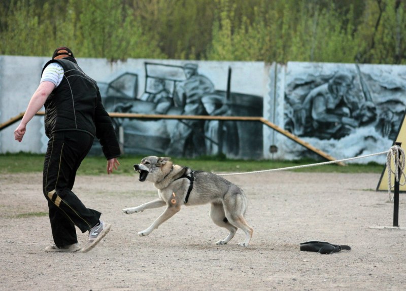 ОКД ЗКС