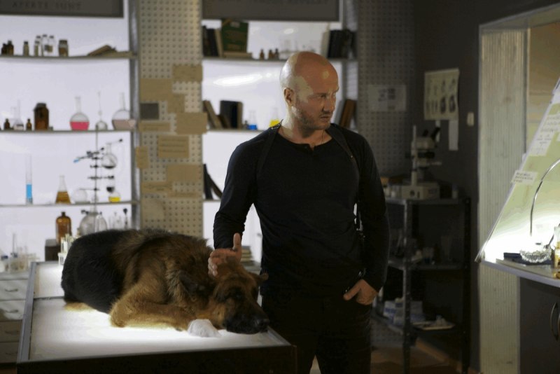 Никита Панфилов в сериале пес