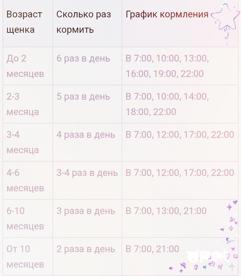 Молочный щенок