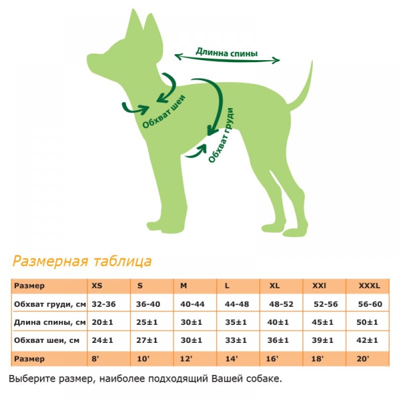 Таблица мерок для собак