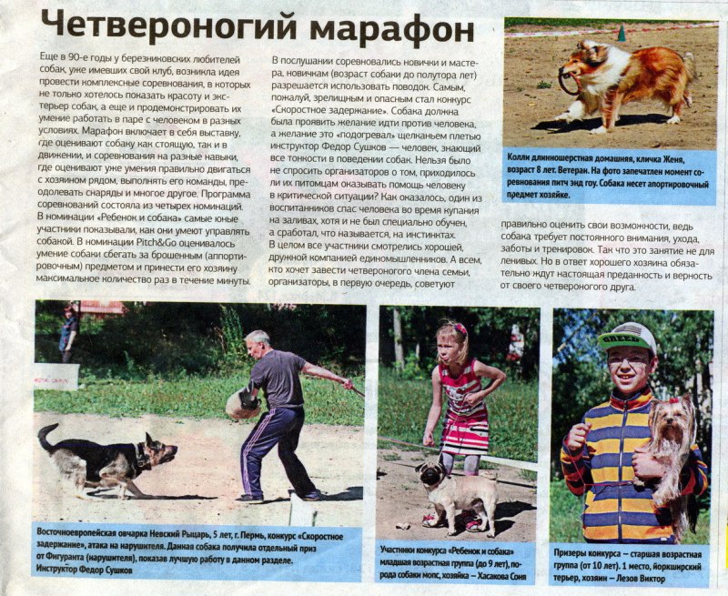 Навыки собаки пример