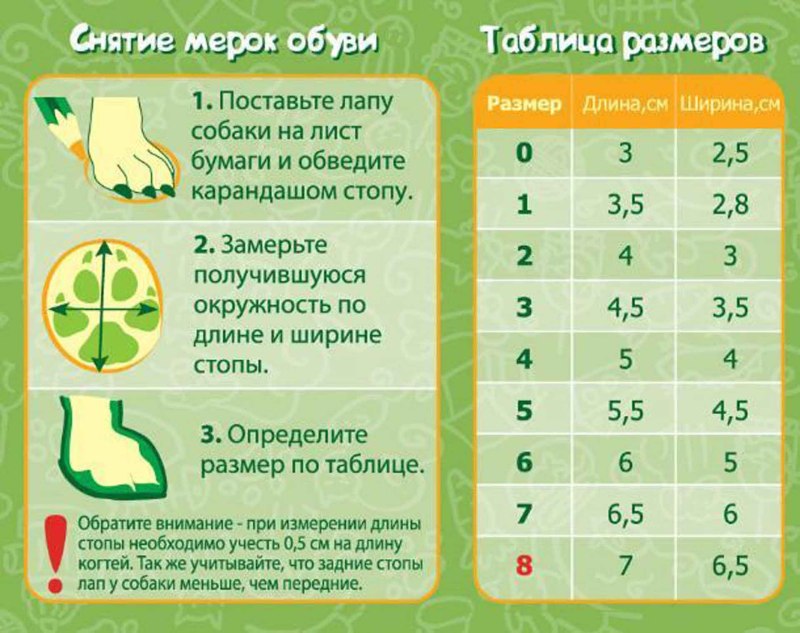 Как измерить лапу собаки для обуви