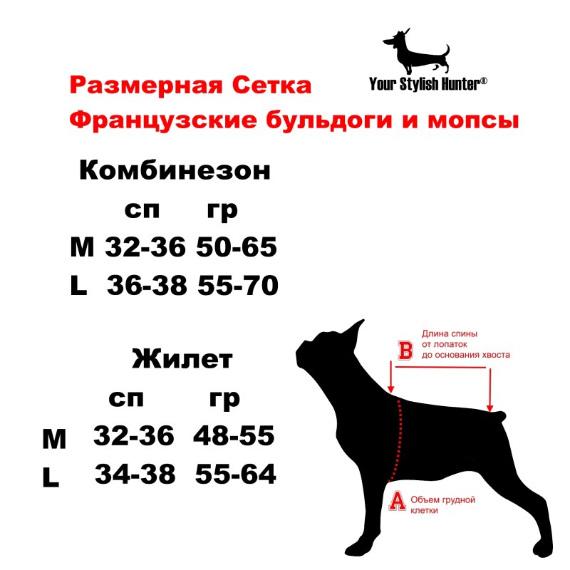 Выкройки одежды для собак Джек Рассел