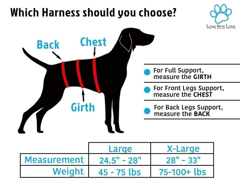 Chest Girth у собаки где смерить