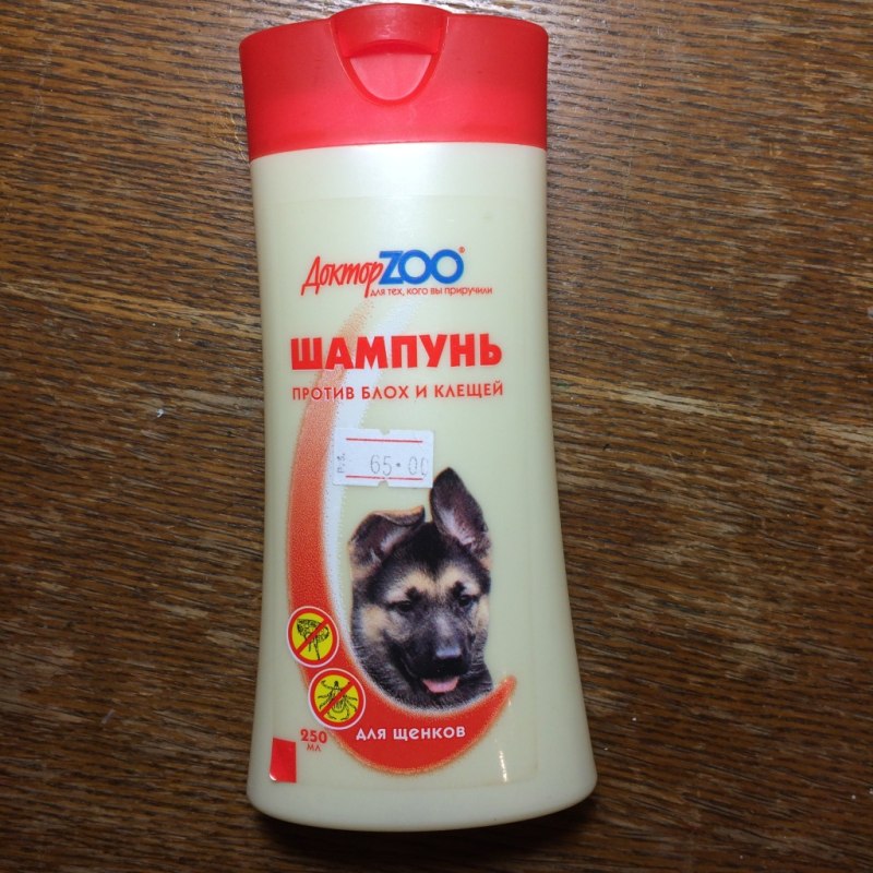 От зуда для собак