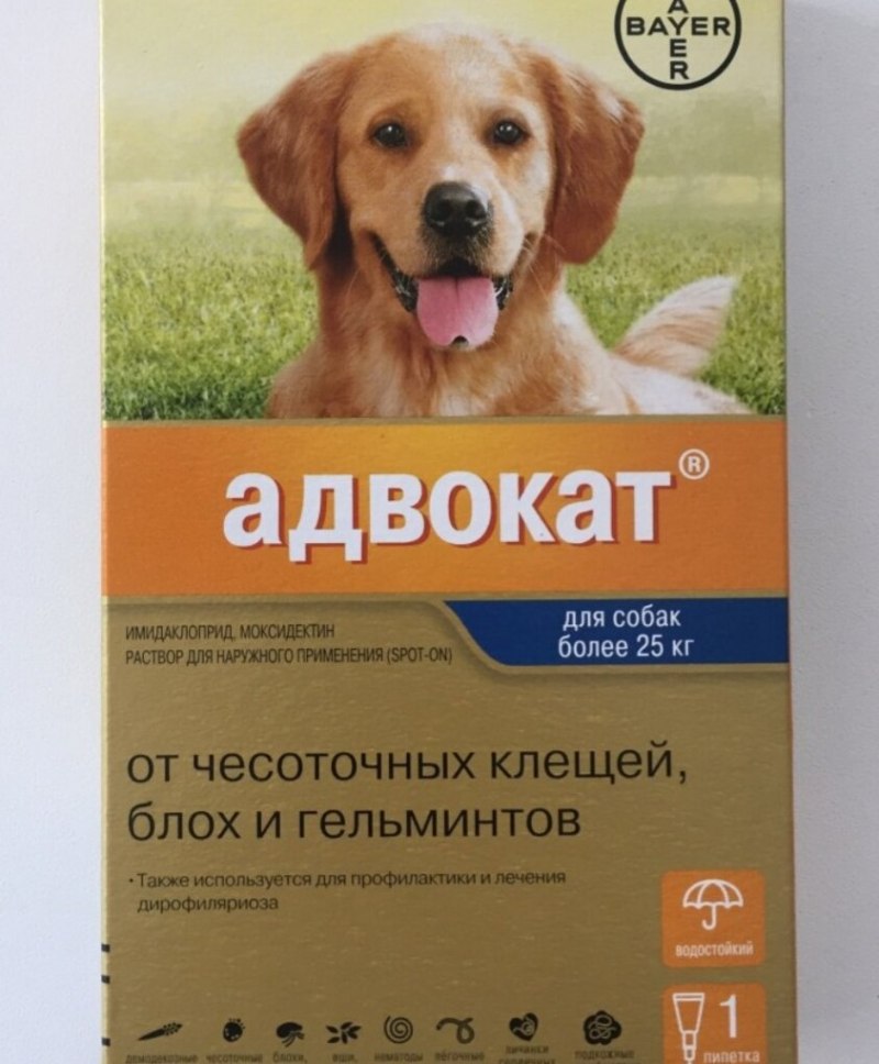 Bio Groom Flea Tick 355
