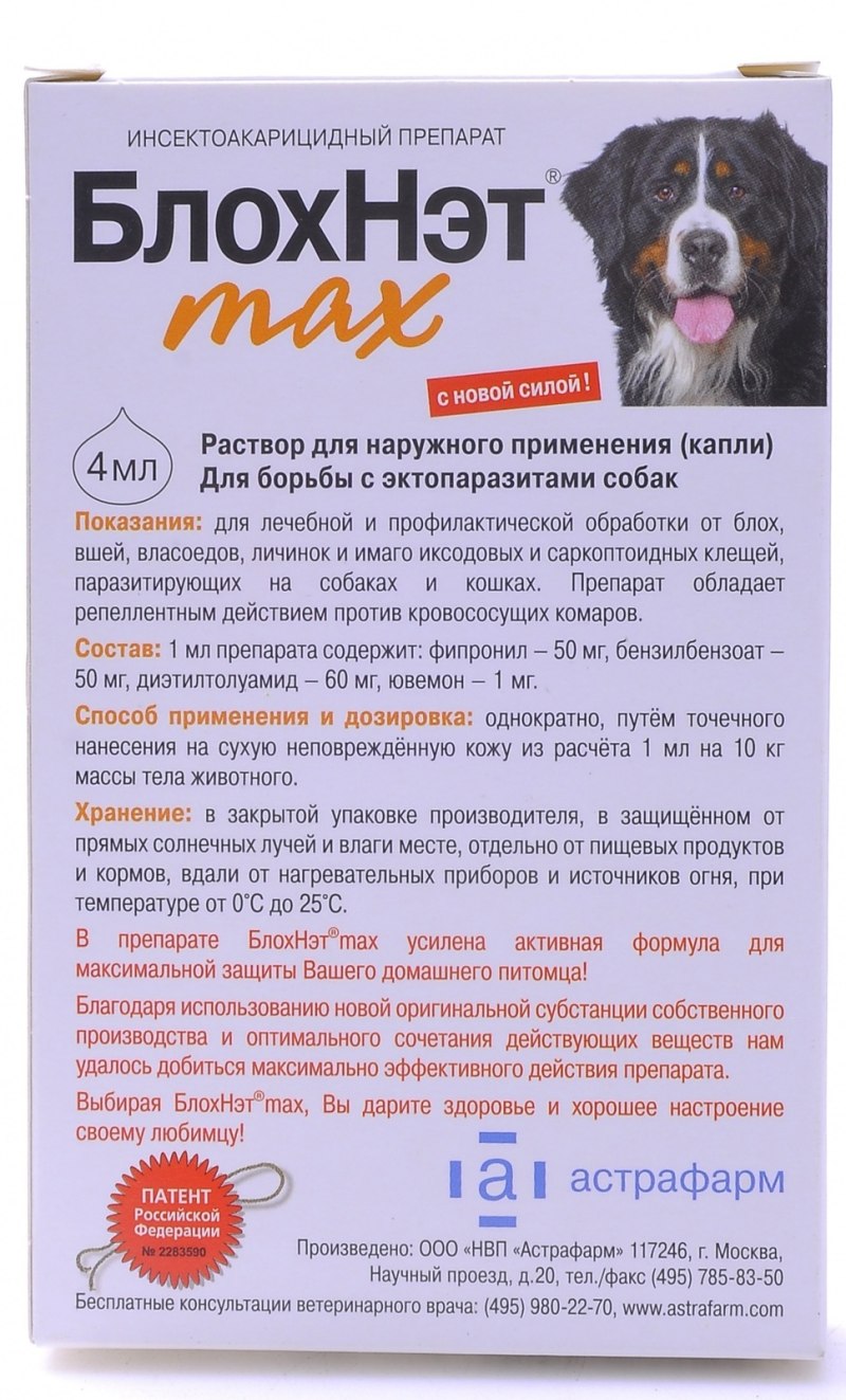 Уши собаки с пироплазмозом