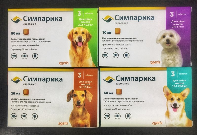 Возвращение лохматой собаки