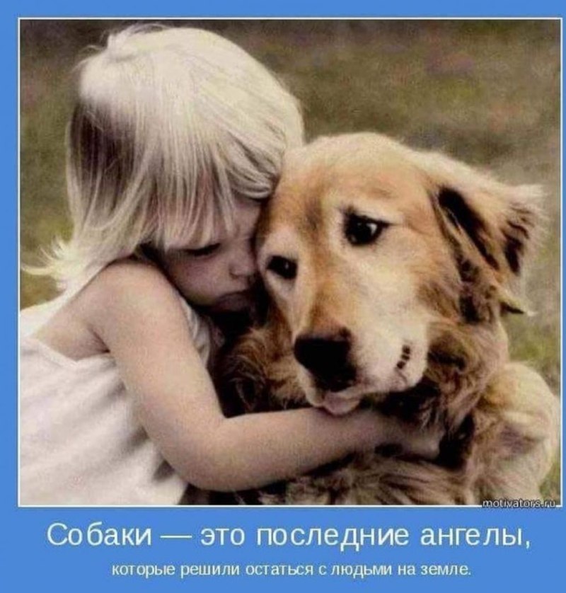 Мой верный пёс