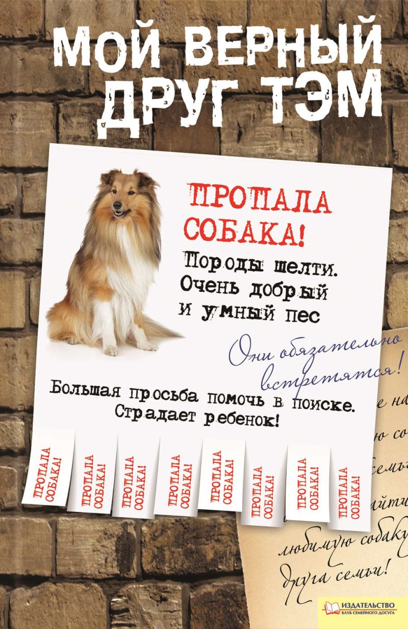 Стихи если у вас нет собаки