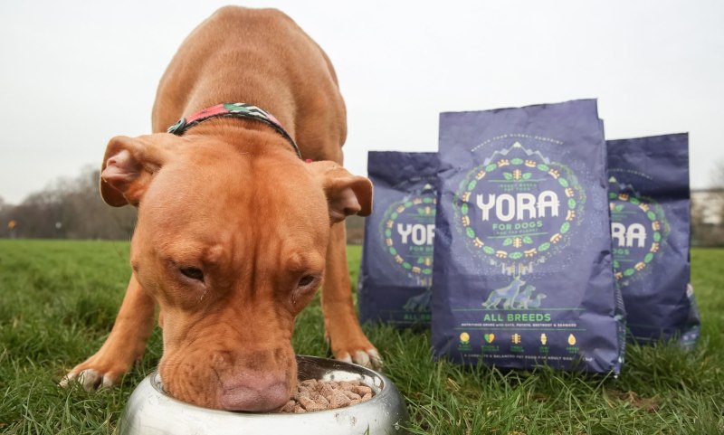 Корм Yora