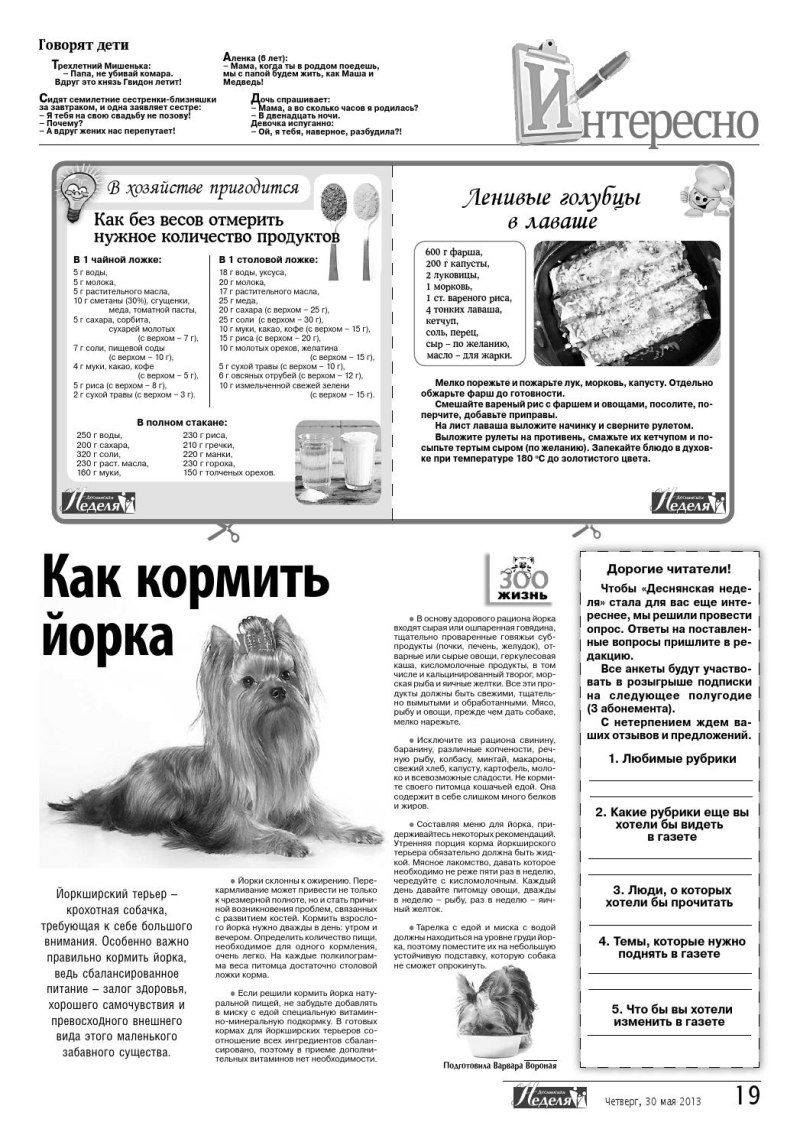 Рацион питания йоркширского терьера