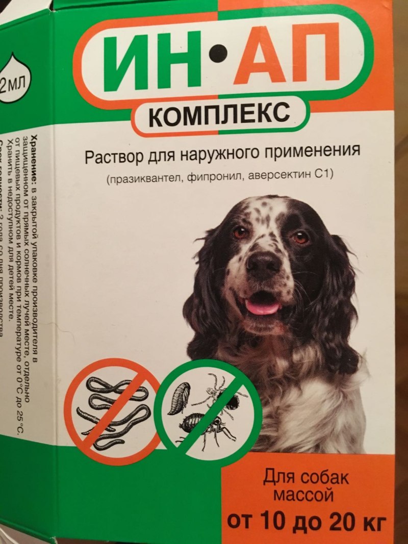 Власоеды дырки у собак
