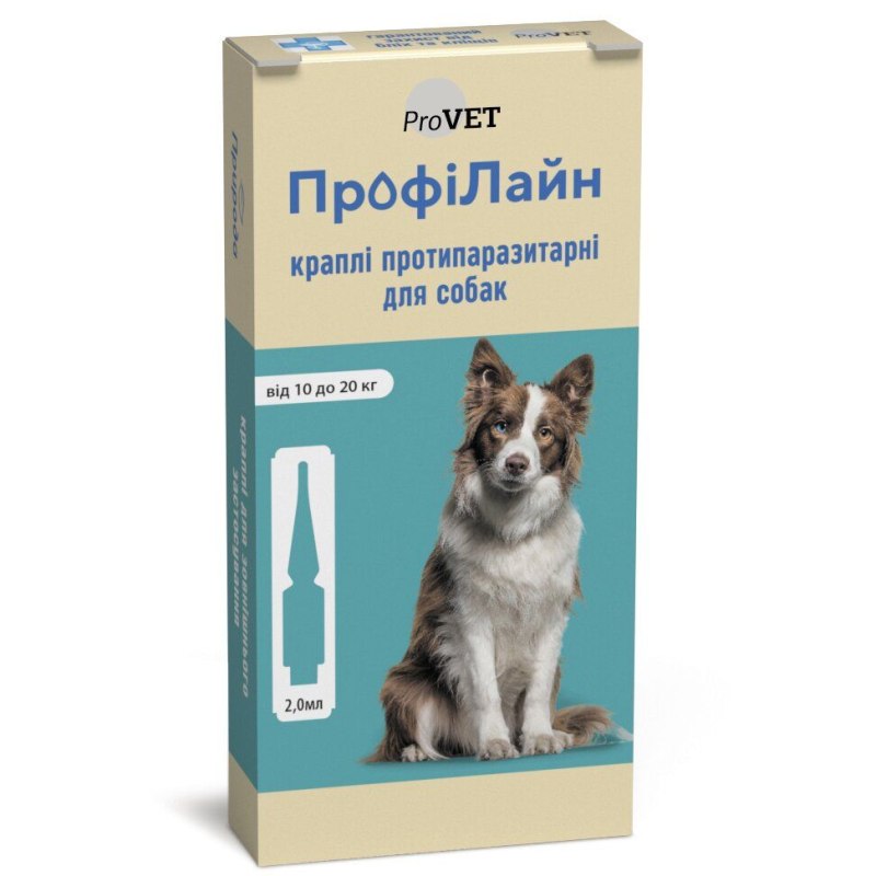Обработка собак от блох