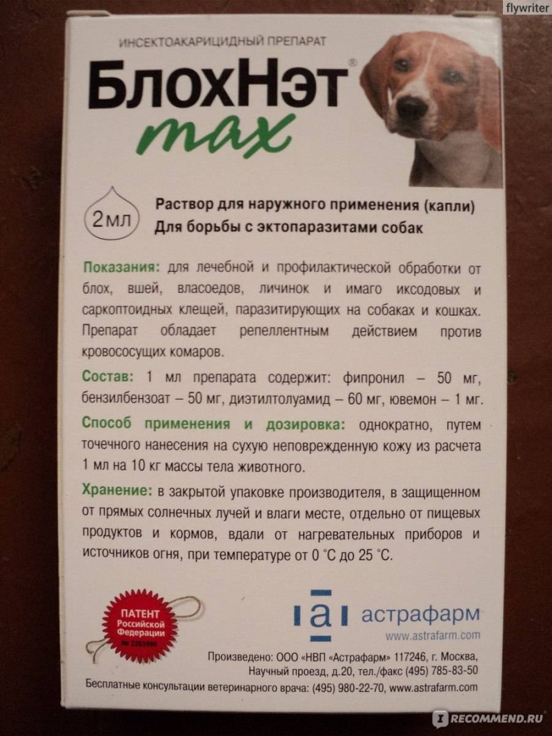 Стоп цистит для собак суспензия 100мл