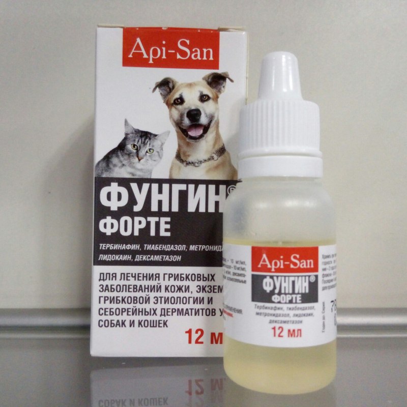 Аденит сальной железы у собак