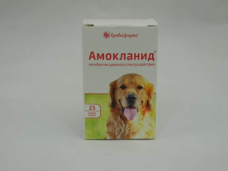 Антибиотики для собак широкого спектра