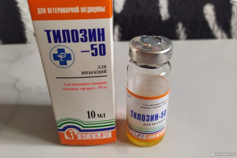 Антибиотики для кошек