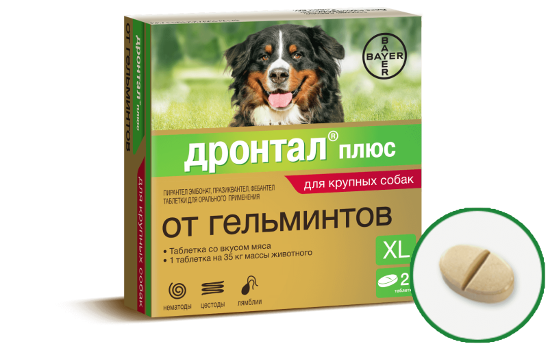 Дронтал плюс XL Д/собак 2