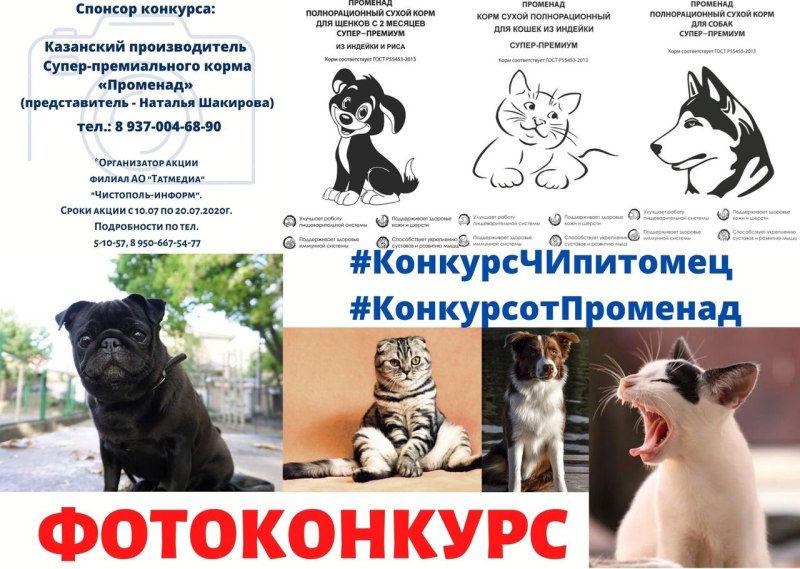 Корм променад