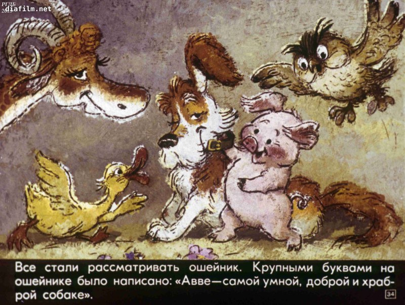 Натс собака