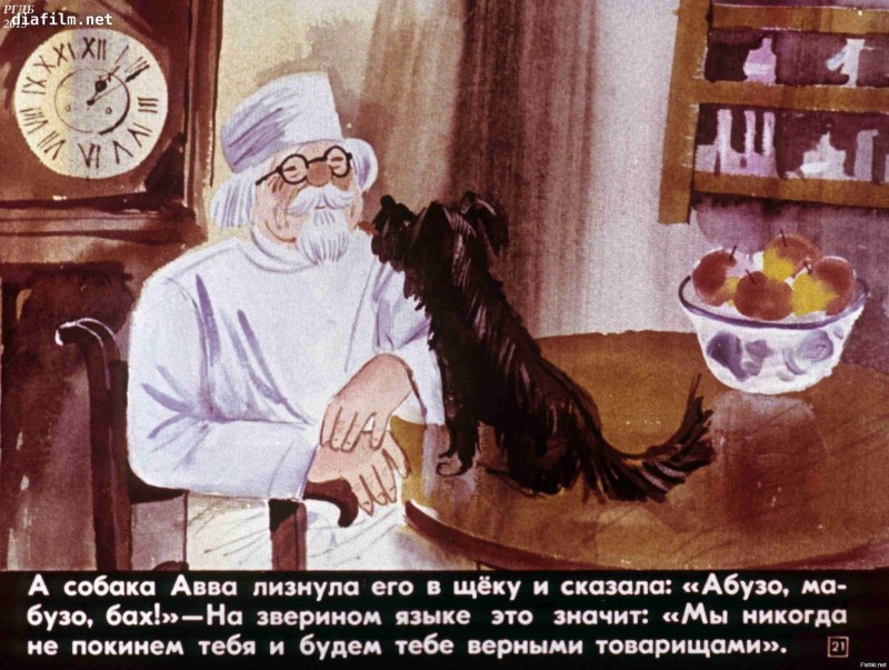 Собака Авва Айболит