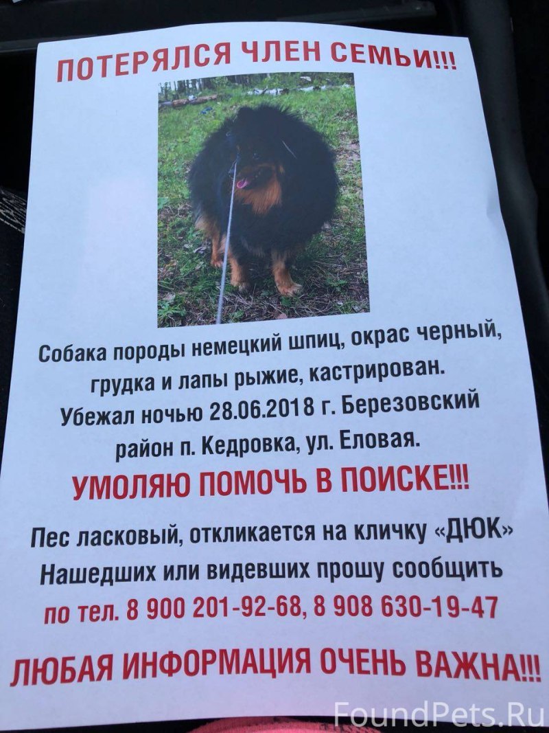 Петля у собак для вязки